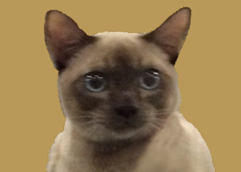 Channelaire Andes of Pendragon